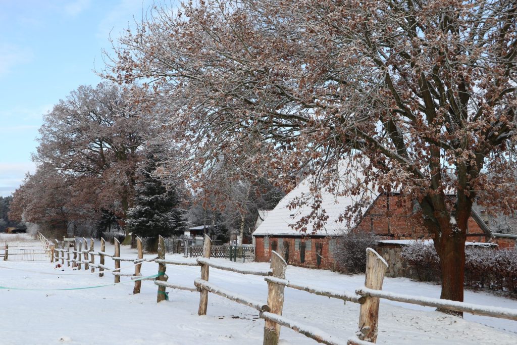 waldhof-bruchmuhle-im-winter