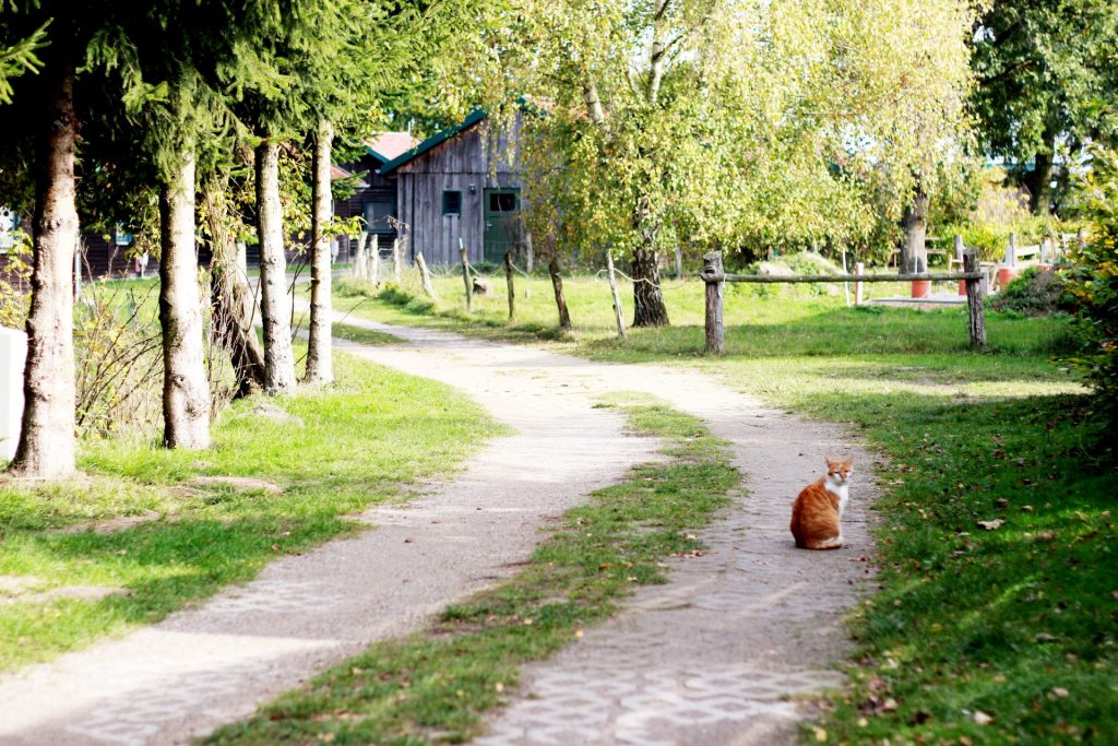 der-weg-zu-den-hausern